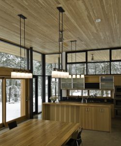 Modern Open Concept Kitchen and Dining Room